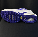 Air Max TN1 Dragon