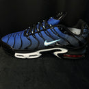 Air Max TN1 Marine