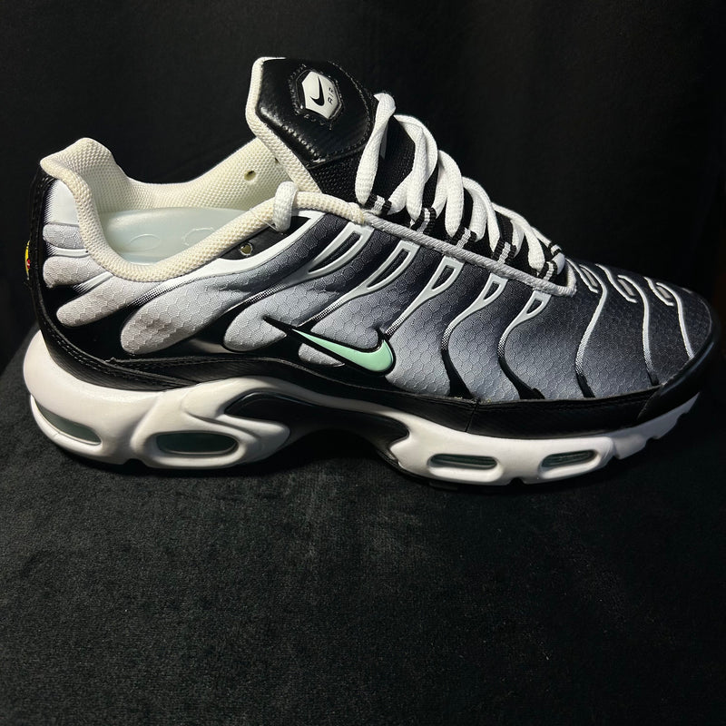 Air Max TN1 Seafoam