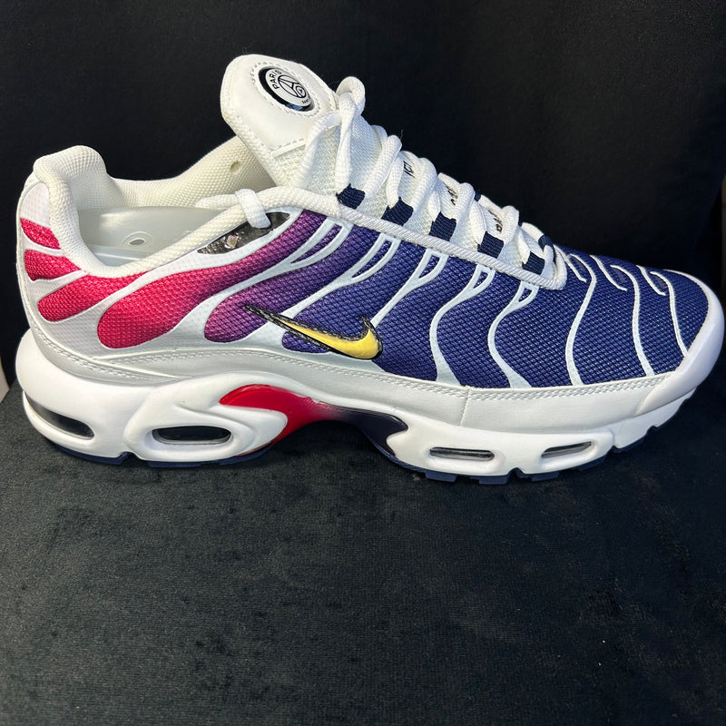 Air Max TN1 PSG