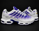 Air Max TN1 Dragon